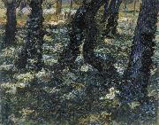 Vincent Van Gogh Undergrowth oil painting reproduction